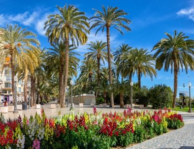 Tour Vintge Alicante - Explanada