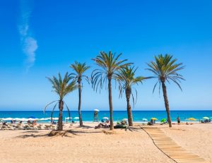 Tour Vintage - Alicante, playa el Saladar